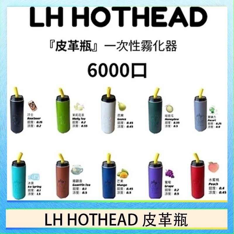 LH HOTHEAD皮革 LH HOTHEAD皮革瓶電子煙可充電6000口一次性